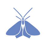Moth Control Service Geelong