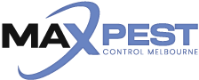 Max Pest Control Melbourne - Expert Pest Control Melbourne