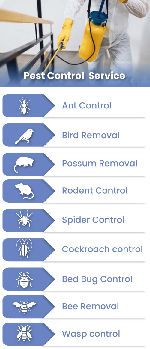 max-pest-control-services-in-geelong-vic
