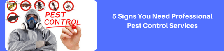 5-Signs-You-Need-Professional-Pest-Control-Services
