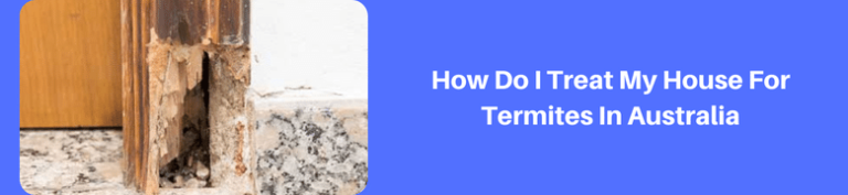 How-Do-I-Treat-My-House-For-Termites-In-Australia