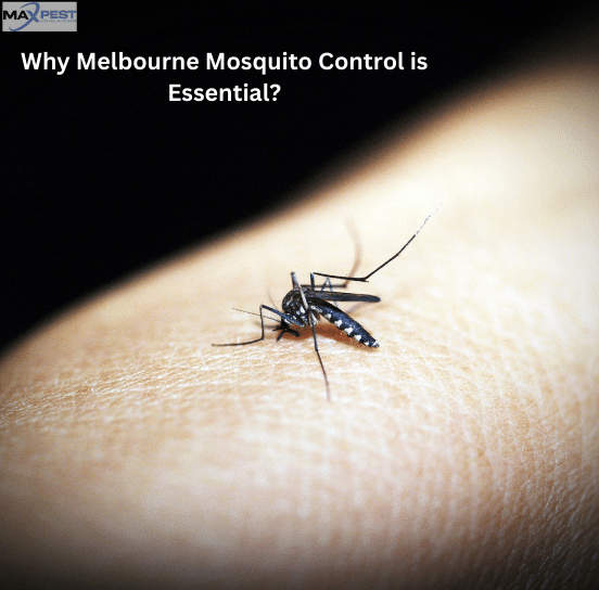 Mosquito-Control-Services-Melbourne