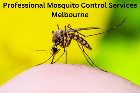 Professional Mosquito Control Services Melbourne
